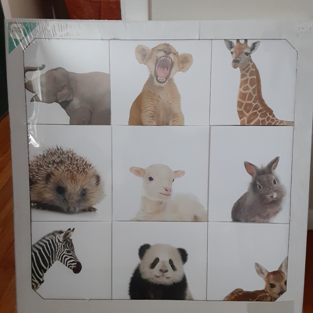 9 Baby Animals Nursery--The Kid's Room by Stupell